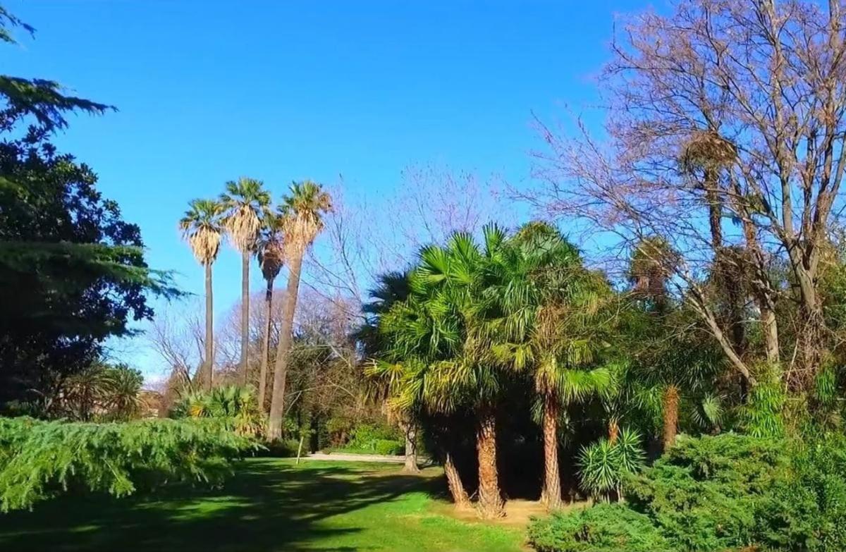 T2 Cosy Hyeres, Proche Parc, Centre Ville, 7' * Hyères